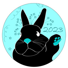Year of the black water rabbit
