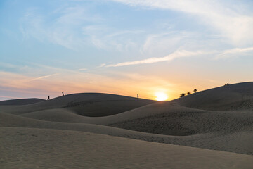 Fototapeta na wymiar sand dunes formed by the wind in the desert at sunset