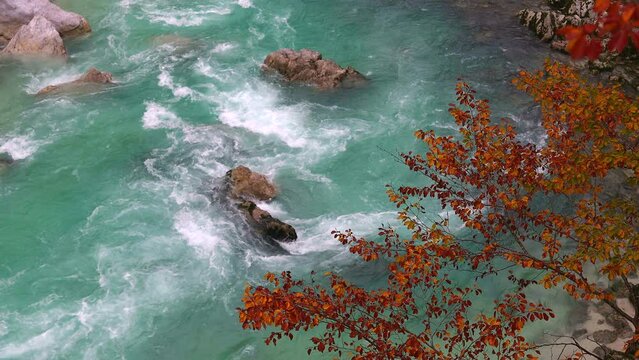 Autumn Colours over beautiful emerald Green River Soca in Slovenia