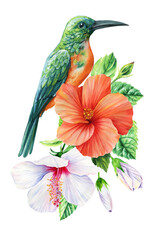 Summer bird and exotic flowers on isolated white background. Watercolor hand drawn illustration. Flora jungle design 