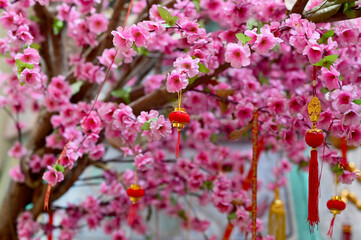 Closeup of Red and pink Chinese paper lanterns Chinese New Year Festival hanging decorations on a fake cherry blossom tree in chinese shrine at Thailand.