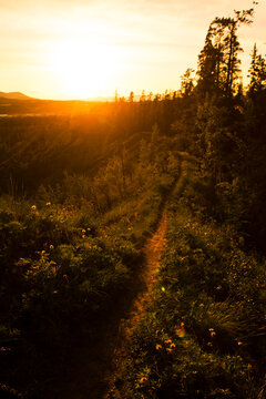Empty singletrack trail on grassy ridgeline at sunset, Yukon, Canada (backlit)