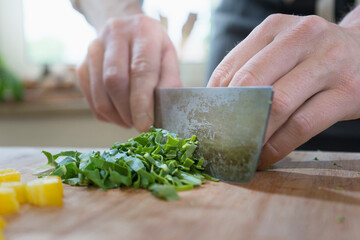 Man cutting mangold leaf vegetable on wooden board