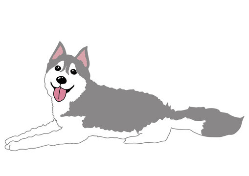 ハスキー
