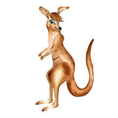 Cartoon kangaroo watercolor illustration isolated on white background. Cute Australian animal wallaby hand drawn. Design element for print, wallpaper, textile, childish sticker, fabric, poster.