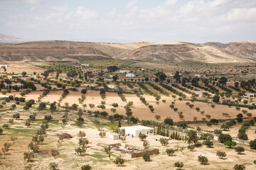 Fototapeta na wymiar Farmland in Tunisia, North Africa. Farming in arid landscape