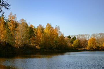 Autumn trees on the shore of a forest lake