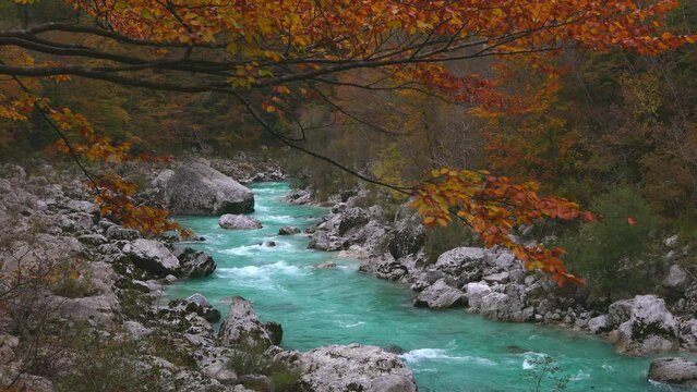 Autumn Colours over beautiful emerald Green River Soca in Slovenia
