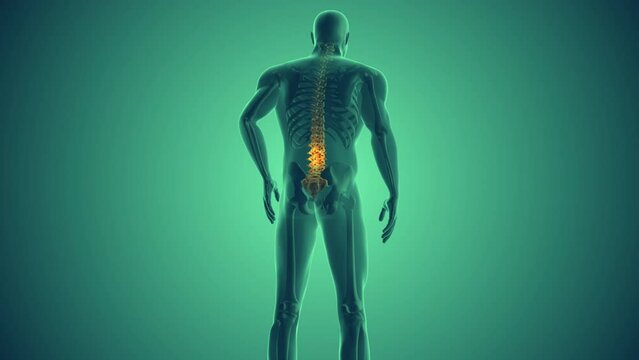 Spinal pain relief in the human body