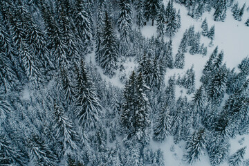Winter chill. Natural winter landscape from air. Aerial view on the road and forest at the winter time. Forest and snow