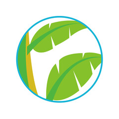 green leaf illustration that can be used for poster or logo design