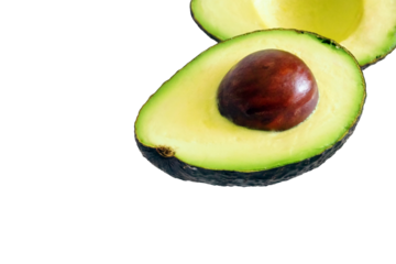 アボカド〈ハス種〉