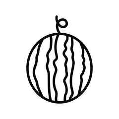 watermelon icon vector design template in white background