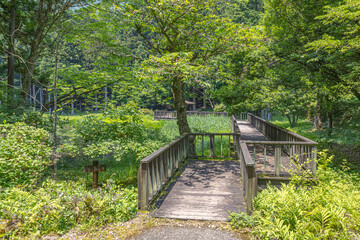 Fototapeta premium 山梨県南アルプス市 菖蒲池