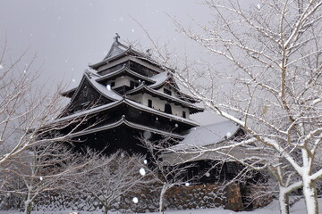 雪が舞う島根県松江市の国宝松江城