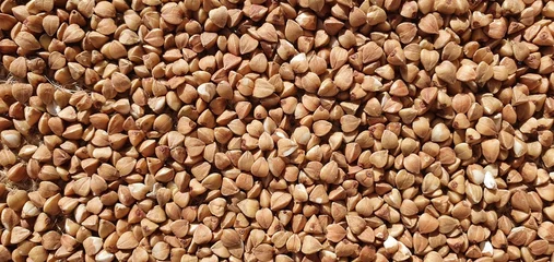 Poster Buckwheat close-up. Buckwheat on burlap. Buckwheat grains isolated. Buckwheat texture. Healthy food, diet. © Nataly G