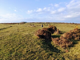 landscape of country