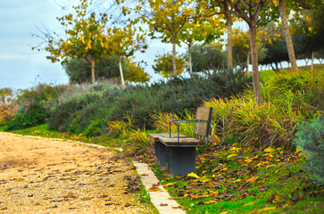 Fototapeta premium Ariel Sharon Park nature background