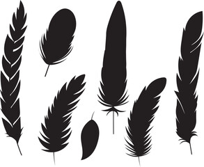 bird feathers, set ,design isolated, vector