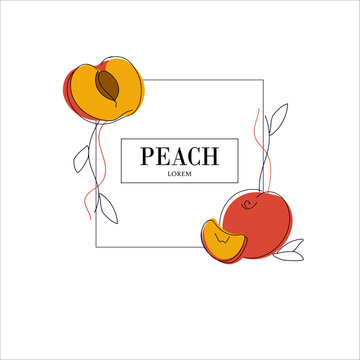 Simple isolated fruit packaging design, prach flavored. Juicy line drawing for label. Freehand vector illustration isolated on white background.