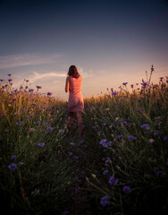 Freedom of endless summer: young woman in summer dress walking into field of cornflowers and blue horizon at golden hour | youth