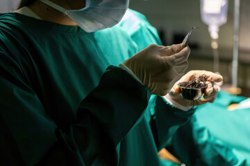 professional surgeon preparing medical suture nylon to stitch patient wound. emergency nurse ready...