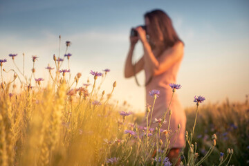 Cornflowers and young woman in bokeh background taking photos | summer freetime hobby