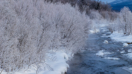 Obraz na płótnie Canvas 冬の川と霧氷した木々　北海道　絶景