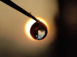 water droplet silhouette 
