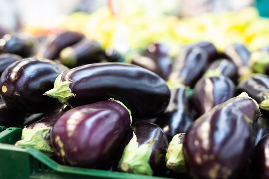 Fresh purple eggplant on market counter