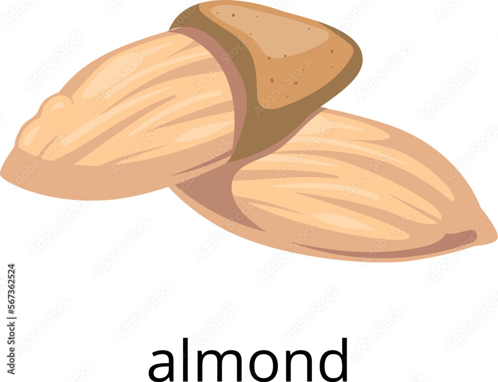 Sticker Almond nut icon. Healthy diet fat food