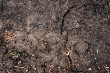 Dug up uneven soil, soil, earth, black earth close-up. Close-up photography, nature, background,...