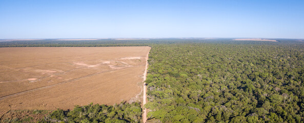 Drone panoramic aerial view of illegal amazon deforestation, Mato Grosso, Brazil. Forest trees and agriculture field land. Concept of climate change, global warming, ecology, environment, nature.