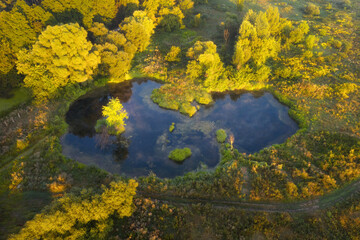Aerial view of beautiful lake at sunrise in autumn. Colorful aerial landscape of pond in the forest at dawn. Top view