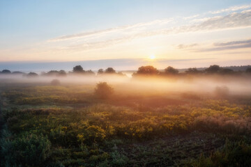 Naklejka na ściany i meble Aerial view of meadow in fog and morning sunshine at dawn. Beautiful autumn landscape with trees, grass, field, mist and sunrise sky.