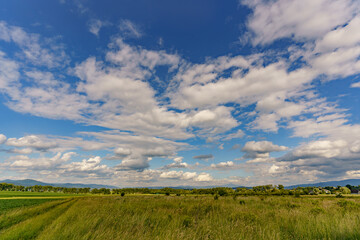 View from farmland with green grass and a view of a slightly cloudy blue sky