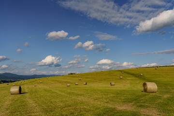 harvested crop in the form of grass in a farmland in the countryside with a slightly cloudy sky in the background