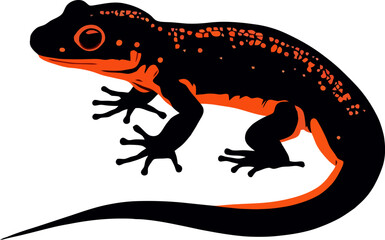 vector illustration of a salamander