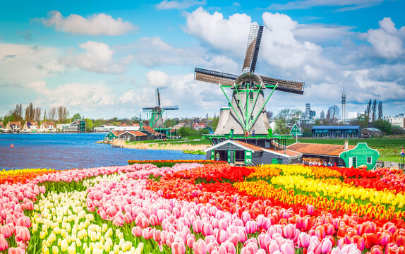 Dutch wind mills
