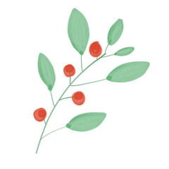 branch with red berries