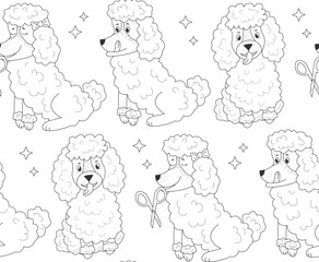 Pattern different poodle  and star on isolated background