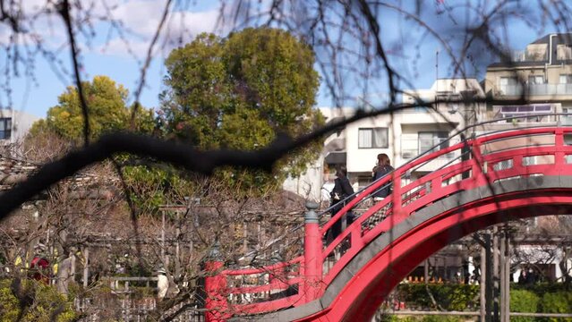 梅まつり，亀戸天神の境内には、道真が好んだ梅が300本以上植えられている。さらに境内の本殿前には、道真公が5歳で詠まれた「美しや紅の色なる梅の花あこが顔にもつけたくぞある」という歌碑と銅像がある。