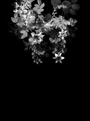 Abstract print design with plain base