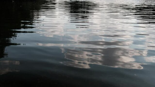 Detail of water lake surface in a sunny day.