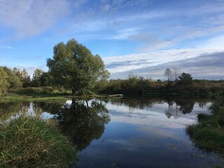 scenic fishing bridge under the tree