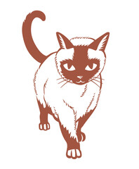 Siamese Cat Walking Calmly, Front View Illustration