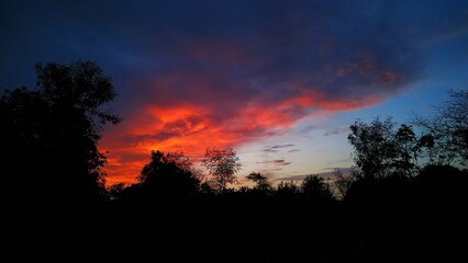 Oranges Evening Sky