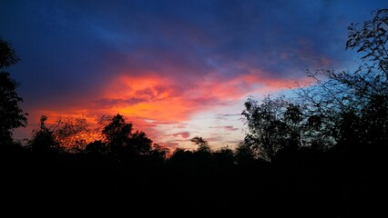 Oranges Evening Sky