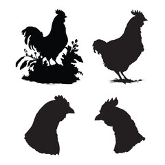 Silhouette of Chicken vector,  hen black silhouette vector set