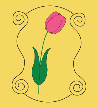 Pink Tulip in a  Frame